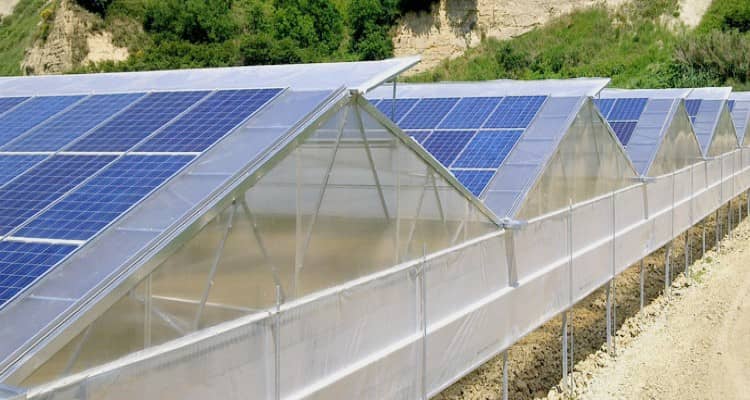Serre fotovoltaiche | immagine principale articolo